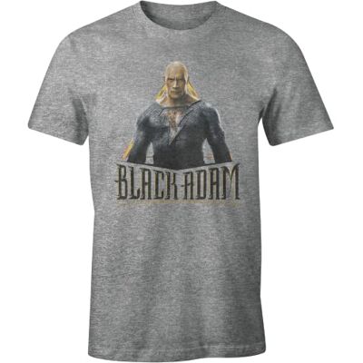 DC Comics MEBLADMTS001 T-shirt, kinesisk grå, 3XL herr, Grov grå, 3XL DC Comics MEBLADMTS001 T-shirt, kinesisk grå, 3XL herr, Grov grå, 3XL