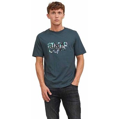 JACK & JONES Bestseller A/S Jorsilverlake t-shirt SS Crew Neck herr T-shirt, Förtrollad skog, S JACK & JONES Bestseller A/S Jorsilverlake t-shirt SS Crew Neck herr T-shirt, Förtrollad skog, S