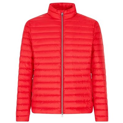 Geox Man M WARRENS DOWN JACKETS TRUE RED_60, Äkta röd, 60 Geox Man M WARRENS DOWN JACKETS TRUE RED_60, Äkta röd, 60