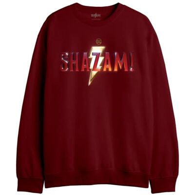 DC Comics Sweatshirt för män, Burgundy, XL DC Comics Sweatshirt för män, Burgundy, XL