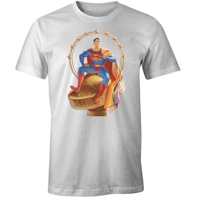 DC Comics T-shirt herr, Vitt och blått, XS DC Comics T-shirt herr, Vitt och blått, XS