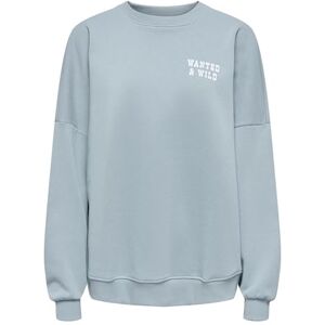ONLY Onlstina L/S härlig O-hals box SWT, Arona, XS ONLY Onlstina L/S härlig O-hals box SWT, Arona, XS