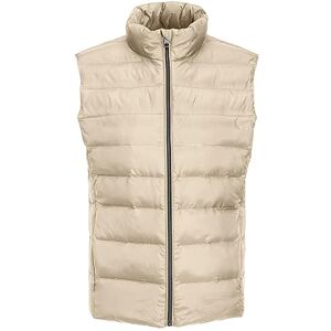 JJXX kvinnlig väst JXNora lätt, Fröpärla, XL JJXX kvinnlig väst JXNora lätt, Fröpärla, XL