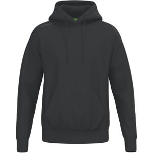 Erima Unisex TS Hoody (2072573) svart, L Erima Unisex TS Hoody (2072573) svart, L