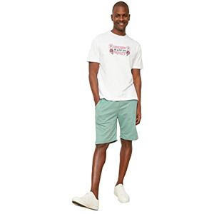 Trendyol Mäns vanliga passform shorts & bermuda casual shorts, mint, liten Trendyol Mäns vanliga passform shorts & bermuda casual shorts, mint, liten