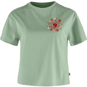 Fjällräven FJALLRAVEN 14600213-674 Fjällblomster logotyp T-shirt W T-shirt dam Misty Green Storlek XXS, Misty Green, XXS Fjällräven FJALLRAVEN 14600213-674 Fjällblomster logotyp T-shirt W T-shirt dam Misty Green Storlek XXS, Misty Green, XXS
