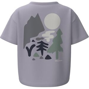 Fjällräven Dam Forest Walk T-shirt, Lavender Mist, XS, Lavender Mist, XS Fjällräven Dam Forest Walk T-shirt, Lavender Mist, XS, Lavender Mist, XS