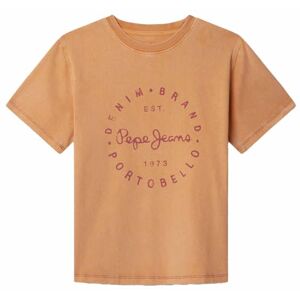 Pepe Jeans pojke Wallace t-shirt, orange (tvättad orange), 6 Pepe Jeans pojke Wallace t-shirt, orange (tvättad orange), 6