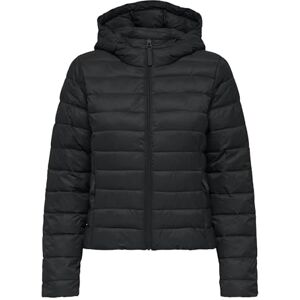 ONLY Carmakoma kvinnors Cartahia Lw quiltad huva JKT OTW Noos, svart, M, Svart, M ONLY Carmakoma kvinnors Cartahia Lw quiltad huva JKT OTW Noos, svart, M, Svart, M