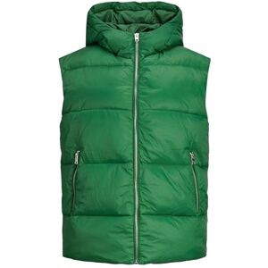 JJXX JACK&JONES dam JXBILLIE buffert-väst OTW SN väst, formell trädgård, S, Formal Garden, S JJXX JACK&JONES dam JXBILLIE buffert-väst OTW SN väst, formell trädgård, S, Formal Garden, S