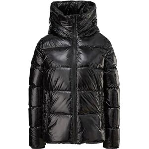 Comma jacka, 9999, 40 Comma jacka, 9999, 40