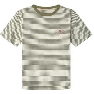 Pepe Jeans pojke Emmet t-shirt, grön (skymningsgrön), 14 Pepe Jeans pojke Emmet t-shirt, grön (skymningsgrön), 14