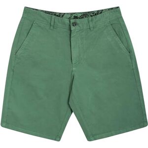 Panareha Herrar Bermuda Shorts av ekologisk bomull TURTLE Grön (54) Panareha Herrar Bermuda Shorts av ekologisk bomull TURTLE Grön (54)