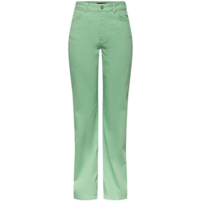 PIECES PCHOLLY HW Wide Jeans Colour NOOS BC, Absinthe Green, 27W x 32L PIECES PCHOLLY HW Wide Jeans Colour NOOS BC, Absinthe Green, 27W x 32L
