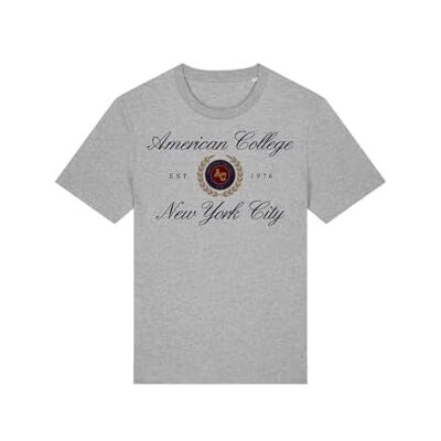 AMERICAN COLLEGE USA Grå T-shirt 12 år gammal, Färg: grå, 12 �r AMERICAN COLLEGE USA Grå T-shirt 12 år gammal, Färg: grå, 12 �r