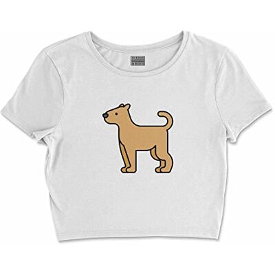 Bona Basics , Digital tryckt basic t-shirt för damer,% 100 bomull, vit, ledig, damtoppar, storlek: XL, Vit, XL Kort Bona Basics , Digital tryckt basic t-shirt för damer,% 100 bomull, vit, ledig, damtoppar, storlek: XL, Vit, XL Kort