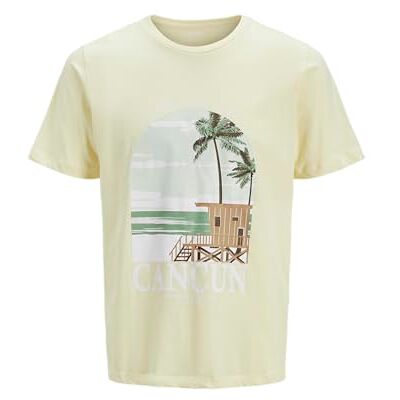 JJ REBEL Jrebbas Tee Ss Crew Neck, Anise blomma, XL JJ REBEL Jrebbas Tee Ss Crew Neck, Anise blomma, XL