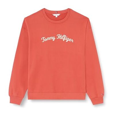 Tommy Hilfiger kvinnors CRV Mdrn Reg Script tröja pullover, Terra röd, 50 Tommy Hilfiger kvinnors CRV Mdrn Reg Script tröja pullover, Terra röd, 50