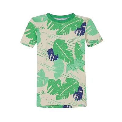 Noppies pojkar pojkar t-shirt Loudoun kortärmad T-shirt, Flerfärgad – N322, 116 Noppies pojkar pojkar t-shirt Loudoun kortärmad T-shirt, Flerfärgad – N322, 116
