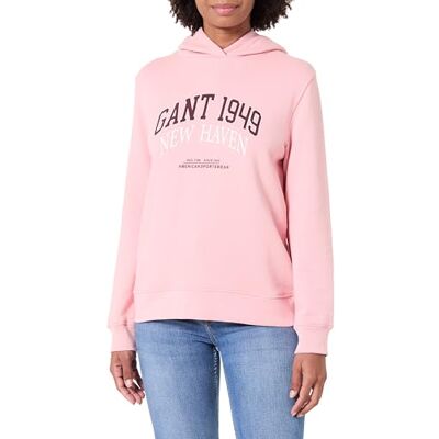 GANT REG Arch Print Hoodie, Sommarros, M GANT REG Arch Print Hoodie, Sommarros, M