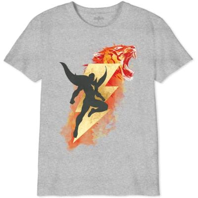 DC Comics Pojke Boshazmts004 T-shirt, grå melange, 6 år EU, Melange grå, 6 �r DC Comics Pojke Boshazmts004 T-shirt, grå melange, 6 år EU, Melange grå, 6 �r