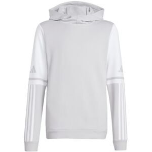 adidas Uniseks dzieci SQUADRA25 SWEAT HOODY KIDS, team light grey/white, 11-12 Years adidas Uniseks dzieci SQUADRA25 SWEAT HOODY KIDS, team light grey/white, 11-12 Years