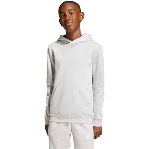 adidas Uniseks dzieci Entrada26 Hoodie Kids, team light grey/white, 11-12 Years adidas Uniseks dzieci Entrada26 Hoodie Kids, team light grey/white, 11-12 Years