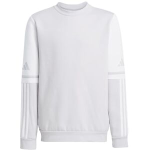 adidas Uniseks dzieci SQUADRA25 SWEAT CREW KIDS, team light grey/white, 7-8 Years adidas Uniseks dzieci SQUADRA25 SWEAT CREW KIDS, team light grey/white, 7-8 Years