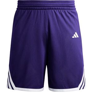 adidas Uniseks dzieci Y EVERYDAY PRO BBALL SHORT, team colleg purple, 11-12 Years adidas Uniseks dzieci Y EVERYDAY PRO BBALL SHORT, team colleg purple, 11-12 Years