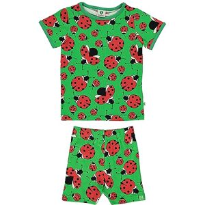 Småfolk pojkar set, leggings med ladybird t-shirt, Grön, 9-10 år Småfolk pojkar set, leggings med ladybird t-shirt, Grön, 9-10 år