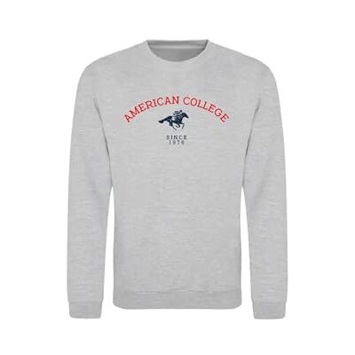 AMERICAN COLLEGE USA Tröja tröja med tryck varma kläder unisex barn pojkar och flickor casual modell ACSCRW3 MELL grå 8 år, Färg: grå, 8 �r AMERICAN COLLEGE USA Tröja tröja med tryck varma kläder unisex barn pojkar och flickor casual modell ACSCRW3 MELL grå 8 år, Färg: grå, 8 �r
