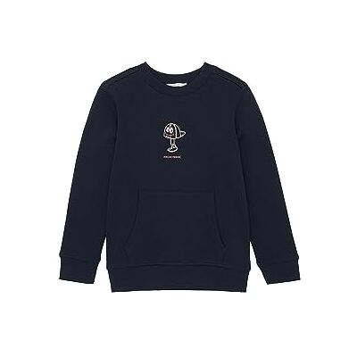 TOM TAILOR Pojkar barn sweatshirt, 10668 – himmelskaptensblå, 104-110 TOM TAILOR Pojkar barn sweatshirt, 10668 – himmelskaptensblå, 104-110