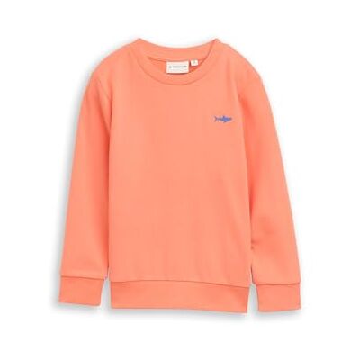 TOM TAILOR Barn pojkar sweatshirt, 23164 Bright Koral, 104 TOM TAILOR Barn pojkar sweatshirt, 23164 Bright Koral, 104