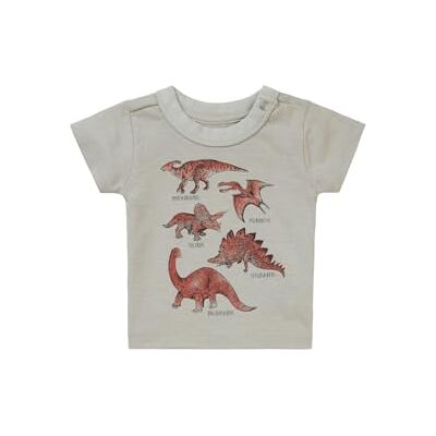 Noppies Baby pojkar pojkar T-shirt Momence kortärmad T-shirt, Willow Grey, 68 cm Noppies Baby pojkar pojkar T-shirt Momence kortärmad T-shirt, Willow Grey, 68 cm