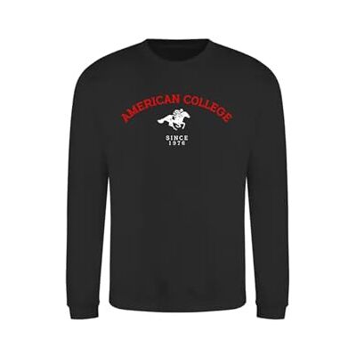 AMERICAN COLLEGE USA Tröja tröja med tryck varma kläder unisex barn pojkar och flickor casual modell ACSCRW3 svart 14 år, svart, 14 �r AMERICAN COLLEGE USA Tröja tröja med tryck varma kläder unisex barn pojkar och flickor casual modell ACSCRW3 svart 14 år, svart, 14 �r