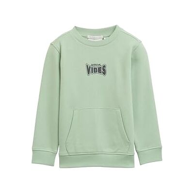 TOM TAILOR Barn pojkar sweatshirt, 19764 – Ljusgrön, 92-98 TOM TAILOR Barn pojkar sweatshirt, 19764 – Ljusgrön, 92-98