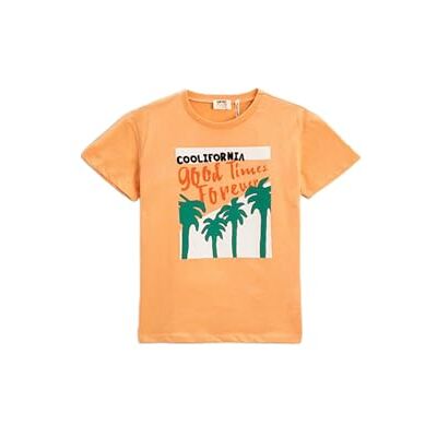 Koton Pojkens Palmen-tryck T-shirt Stadt-thema Baumwolle Rundhalsausschnitt, Orange (200), 7-8 år, Orange (200), 7-8 År Koton Pojkens Palmen-tryck T-shirt Stadt-thema Baumwolle Rundhalsausschnitt, Orange (200), 7-8 år, Orange (200), 7-8 År