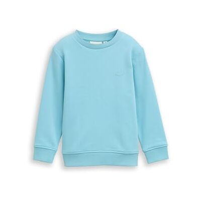 TOM TAILOR Barn pojkar sweatshirt, 38893 Elixir Blue, 116 TOM TAILOR Barn pojkar sweatshirt, 38893 Elixir Blue, 116