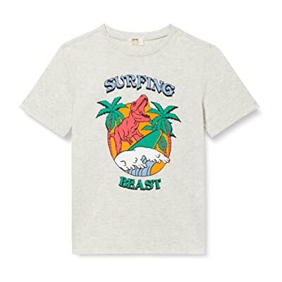Koton Pojkar dinosaurie tryckt kortärmad T-shirt, Grå (023), 11-12 År Koton Pojkar dinosaurie tryckt kortärmad T-shirt, Grå (023), 11-12 År