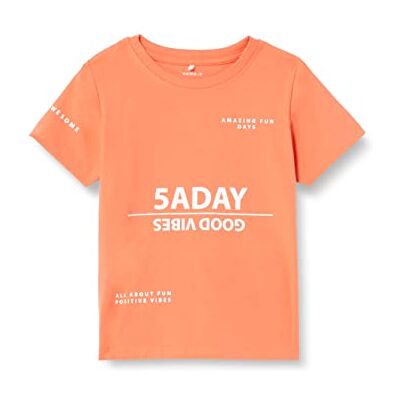 NAME IT Baby pojkar Nmmdiego Ss Top T-shirt, korall, 86 cm NAME IT Baby pojkar Nmmdiego Ss Top T-shirt, korall, 86 cm