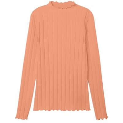 NAME IT flicka Nkfnoline Slim Top Noos långärmad tröja, persika blomma, 116 EU, Persika blomma, 116 NAME IT flicka Nkfnoline Slim Top Noos långärmad tröja, persika blomma, 116 EU, Persika blomma, 116