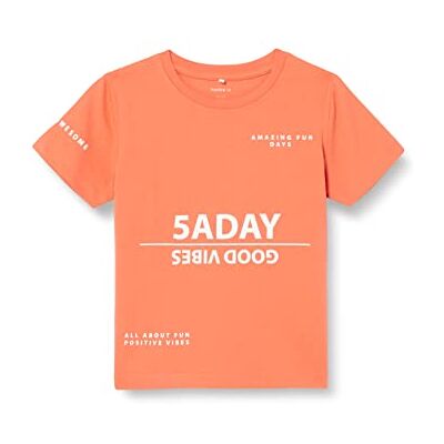 NAME IT Boy's NMMDIEGO SS Top T-shirt, koral, 92, korall, 92 cm NAME IT Boy's NMMDIEGO SS Top T-shirt, koral, 92, korall, 92 cm