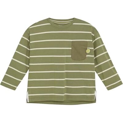 Noppies Kids Boys Tee Reidsville långärmad, Dried Herb Stripe Pattern – N426, 134 Noppies Kids Boys Tee Reidsville långärmad, Dried Herb Stripe Pattern – N426, 134