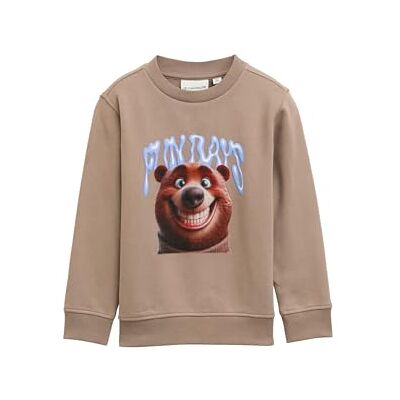 TOM TAILOR Barn pojkar sweatshirt, 35808 – Mellow Brown, 116-122 TOM TAILOR Barn pojkar sweatshirt, 35808 – Mellow Brown, 116-122