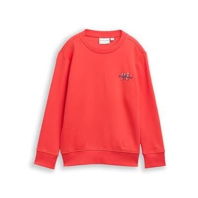 TOM TAILOR Barn pojkar sweatshirt, 38337 – mjuk röd, 92 TOM TAILOR Barn pojkar sweatshirt, 38337 – mjuk röd, 92