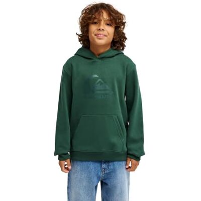 Quiksilver huvtröja COMP LOGO huvtröja ungdom pojkar grön Quiksilver huvtröja COMP LOGO huvtröja ungdom pojkar grön