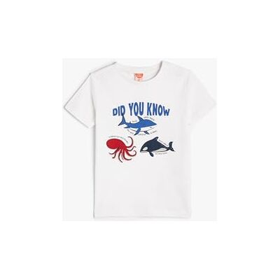 Koton Boys's kortärmad djur tryckt crew neck bomull t-shirt, Ecru (010), 4-5 Jahre Koton Boys's kortärmad djur tryckt crew neck bomull t-shirt, Ecru (010), 4-5 Jahre