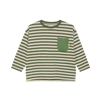 Noppies Kids Boys Tee Reidsville långärmad, Brons grön randig mönster – N427, 116 Noppies Kids Boys Tee Reidsville långärmad, Brons grön randig mönster – N427, 116