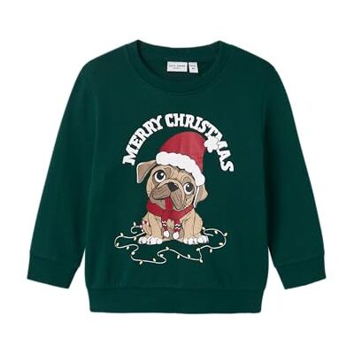 NAME IT Pojkar Nmmvismas Ls Nreg Sweat Bru Sweatshirt, Botanisk trädgård, 98 NAME IT Pojkar Nmmvismas Ls Nreg Sweat Bru Sweatshirt, Botanisk trädgård, 98