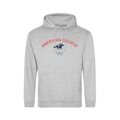 AMERICAN COLLEGE USA Tröja tröja med tryck varma kläder unisex barn pojkar och flickor casual modell ACSCW3 MELL grå 10 år, Färg: grå, 10 �r AMERICAN COLLEGE USA Tröja tröja med tryck varma kläder unisex barn pojkar och flickor casual modell ACSCW3 MELL grå 10 år, Färg: grå, 10 �r